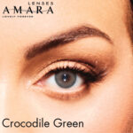 ⁦Amara Lenses - Monthly⁩ - الصورة ⁦3⁩