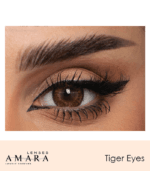 ⁦Amara Lenses - Monthly⁩ - الصورة ⁦3⁩